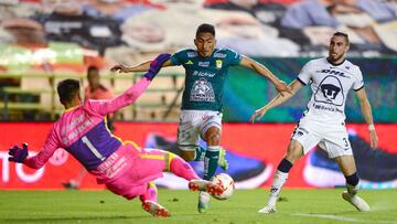 Los momios ponen favorito a León en la ida contra Pumas