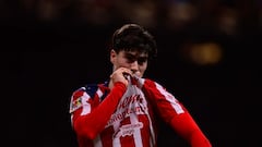 Guadalajara tiene dueño y se llama Chivas