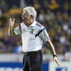 Tuca Ferretti renovó con los Tigres hasta el 2020