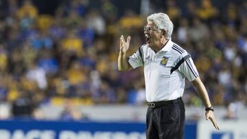 Tuca Ferretti renovó con los Tigres hasta el 2020