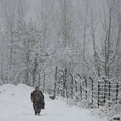 Qué es el ‘vórtice polar’, qué pasaría si se rompe y cuáles serían las consecuencias