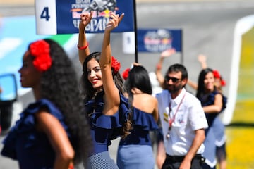 Las más guapas del paddock en el GP de España