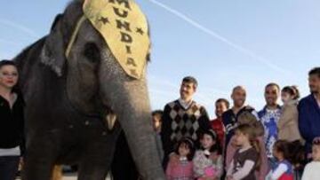<b>EL MÁLAGA VIAJA CON SONRISAS</b> Muñiz, Manolo Gaspar, Jesús Gámez y Munúa posan para AS junto a un elefante del Circo Mundial y varios niños en Málaga. Aunque el mal juego del equipo en su empate de la semana pasada contra el Tenerife en La Rosaleda y las bajas en defensa elevan muchas dudas para el partido contra el Zaragoza, la plantilla malacitana cargó sonrisas el miércoles con su visita al circo.