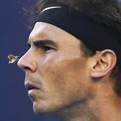 Nadal tras ganar a Raonic: "No sé cómo salvé seis bolas de set"