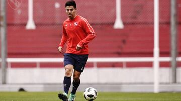 Tal como el 'Tucu', el 'Gato' llegó este año y alzó el trofeo que mide al campeón de la Copa Sudamericana y la máxima categoría japonesa.