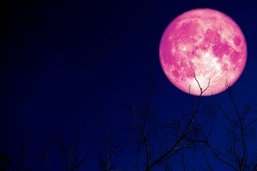 Calendario lunar junio 2024: fases lunares, Luna llena de Fresa, solsticio de verano y lluvia de estrellas