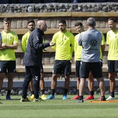 Terapia de choque ante la crisis