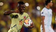 Cetr&eacute; celebra el gol del descuento ante Argentina 