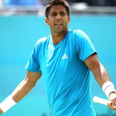 Verdasco vuelve a la carga: "¿Qué pasa conmigo ahora?"