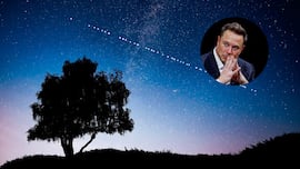 El pueblo de los Alpes suizos que se ha rebelado contra la decisión multimillonaria de Elon Musk: “Nos quedamos impactados”