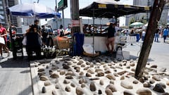 Fue presentada como la medida que iba a terminar con los ambulantes en Santiago, pero esto ocurrió: Orrego sale al paso