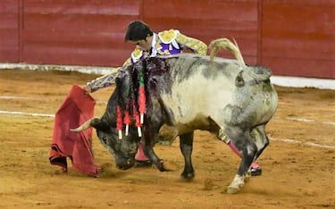 CDMX: Comisiones aprueban iniciativa para prohibir las corridas de toros
