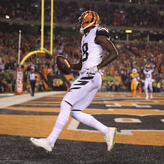 El Show de A.J. Green hunde a los Delfines