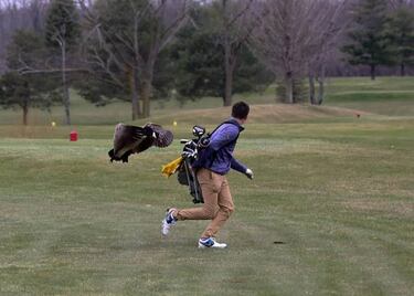 Un ganso enfurecido ataca a un golfista durante un torneo