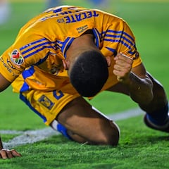 Tigres ya no puede con la Liguilla