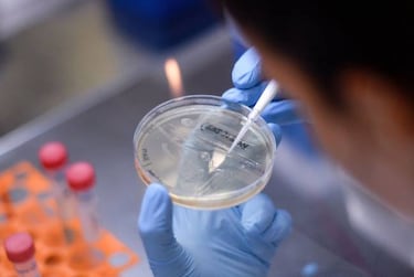 Coronavirus: when will the vaccine be ready?