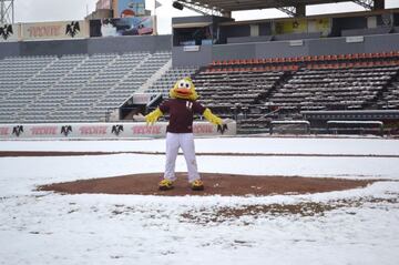 ¡Increible! La nieve cubre un campo de beisbol en México