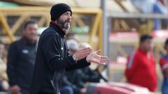 Al DT de Palestino le inquieta el juego directo de Cobresal