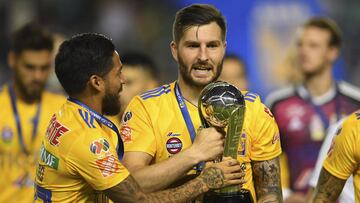 Tigres, Liga MX