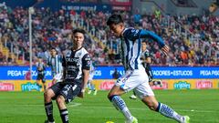 Necaxa vs Pachuca: horario, TV, canal, cómo y dónde ver la Liga MX