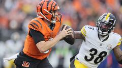 Week thirteen of NFL action is red hot and we have all the info on the coming game between the Bengals and the Jaguars.