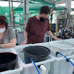 Las profesiones que más y que menos crecerán en 2023: ¿qué trabajos tendrán más salidas?