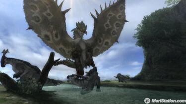 Monster Hunter Tri, Impresiones