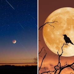 Eventos astronómicos de julio 2025: fases lunares, Luna llena de Ciervo y lluvias de estrellas