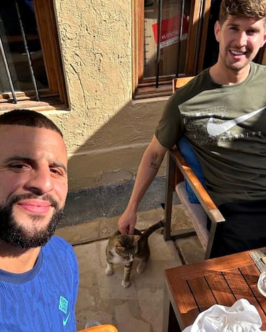 Inglaterra ‘adopta’ un gato qatarí tras su eliminación del Mundial