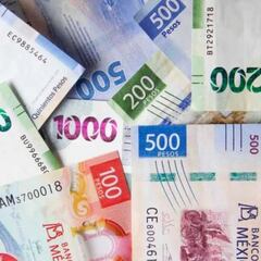 Reparto de Utilidades 2025: qué son, quiénes la reciben y cómo calcularlas