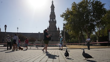 Imágenes de los trabajos de limpieza de la ría de la Plaza de España de Sevilla afrontan su recta final, a 25 de octubre de 2025 en Sevilla (Andalucía, España). Las labores de limpieza de la ría de la Plaza de España encaran su última fase. En este sentido, está previsto que finalicen la próxima semana, si bien, el llenado no se realizará hasta que acaben los trabajos en su balaustrada. La Gerencia Municipal de Urbanismo y Medio Ambiente (GUMA), encargada de ejecutar el proyecto, comenzó estas actuaciones el pasado 14 de octubre, en coordinación con Parques y Jardines.
25 OCTUBRE 2025
María José López / Europa Press
22/10/2025