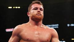 &#039;Canelo&#039; &Aacute;lvarez arriesga para hacer historia en 4 divisiones