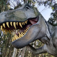 Un experto explica por qué el T-Rex tenía los brazos tan cortos
