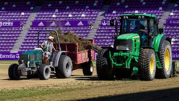 El club trabaja en el cambio de césped.