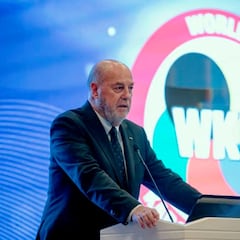 Espinós seguirá seis años al frente del karate mundial