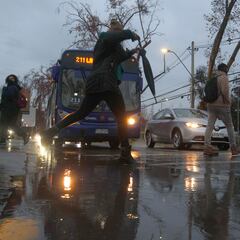 Restricción Vehicular 2022: calendario de autos que no pueden circular, 11 de julio