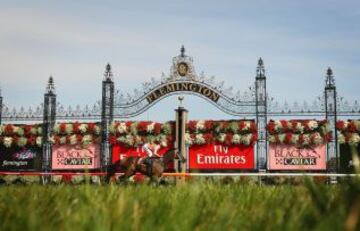 La yegua australiana Black Caviar durante una de las carreras que ganó, al igual que todas las que ha disputado