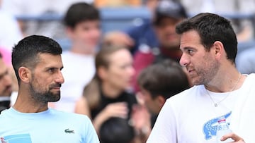 Djokovic despedirá a del Potro