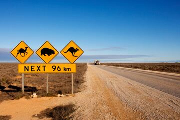 La llanura de Nullarbor, ubicada en Australia, es famosa por su vastedad y su paisaje des¨¦rtico. Mientras que en Espa?a lo m¨¢s t¨ªpico son ciervos, vacas y jabal¨ªs, en Australia existe un ¨¢lbum lleno de se?ales con animales variados.
