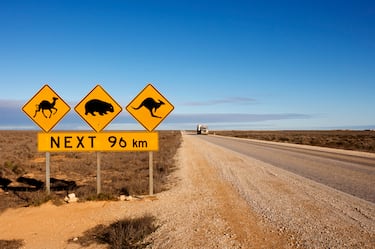 La llanura de Nullarbor, ubicada en Australia, es famosa por su vastedad y su paisaje desértico. Mientras que en España lo más típico son ciervos, vacas y jabalís, en Australia existe un álbum lleno de señales con animales variados.