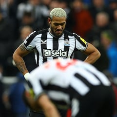 Grietas en el proyecto saudí del Newcastle