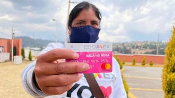 Salario Rosa 2022: cómo registrarse online y a través de qué página