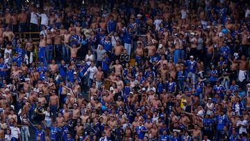 Hinchas de Millonarios 