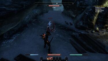 The Elder Scrolls Online, Impresiones