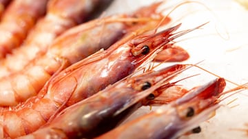 Scientists are in a race against time to uncover the toxic secrets inside the seafood we consume. 07 ABRIL 2025
Eduardo Parra / Europa Press
07/04/2025