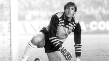 El portero vasco comenzó su carrera profesional en el Castilla en 1979, donde estuvo cinco temporadas antes de dar el salto definitivo al primer equipo en 1984, en el que estuvo cuatro temporadas. Defendió la portería del filial en 42 ocasiones y la del Real Madrid, en 46 partidos.