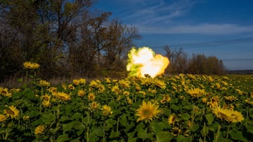 BAKHMUT, UKRAINE - OCTOBER 19: Gunfire by a Ukrainian tank crew fighting on the frontline is seen moving through a field of sunflowers in Bakhmut, Donetsk Oblast, Ukraine on October 19, 2022. (Photo by Wolfgang Schwan/Anadolu Agency via Getty Images)