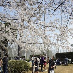 ¿Cómo diferenciar los síntomas de alergia y coronavirus?