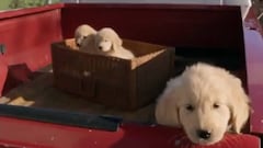 9 anuncios muy polémicos que se emitieron en la Super Bowl