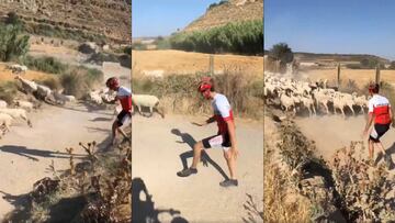 Álex Márquez ejerciendo de pastor improvisado.